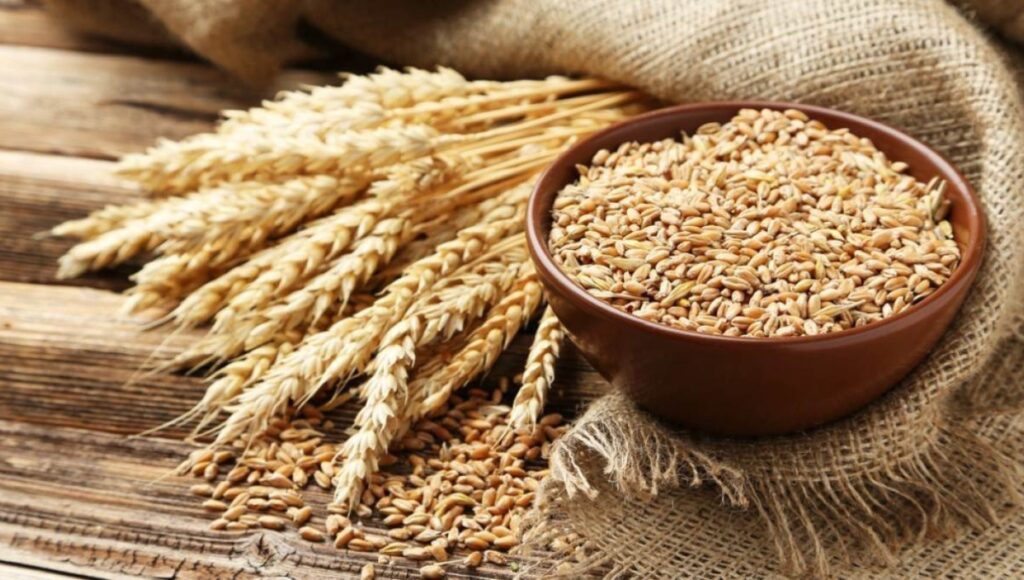 5 kg free foodgrains every month, PMGKAY's gift to 80 crore families