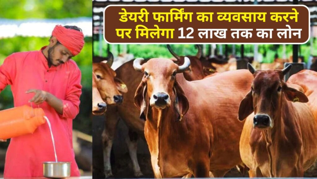 Dairy Farming Loan Scheme 2025: ग्रामीण युवाओं के लिए आत्मनिर्भरता की नई राह